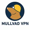 Mullvad VPN logo