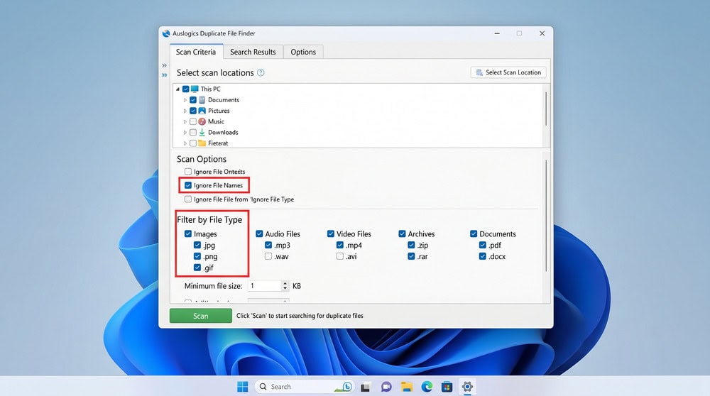 Auslogics Duplicate File Finder on Windows 11 with the Ignore File Names option checked and file-type filters set before a scan.