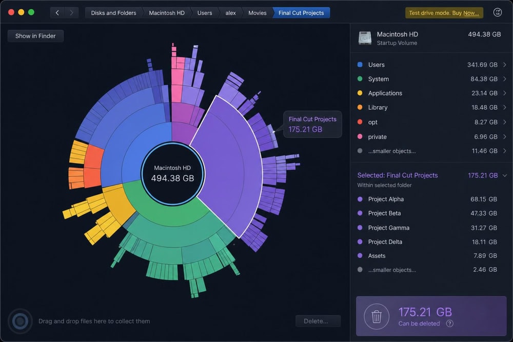DaisyDisk sunburst ring map on macOS showing color-coded segments for system files, media, and a large folder selected for the deletion collector.