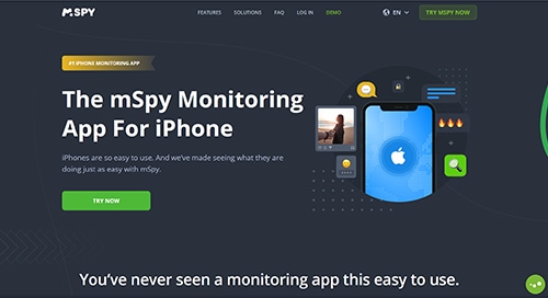 mSpy screenshot