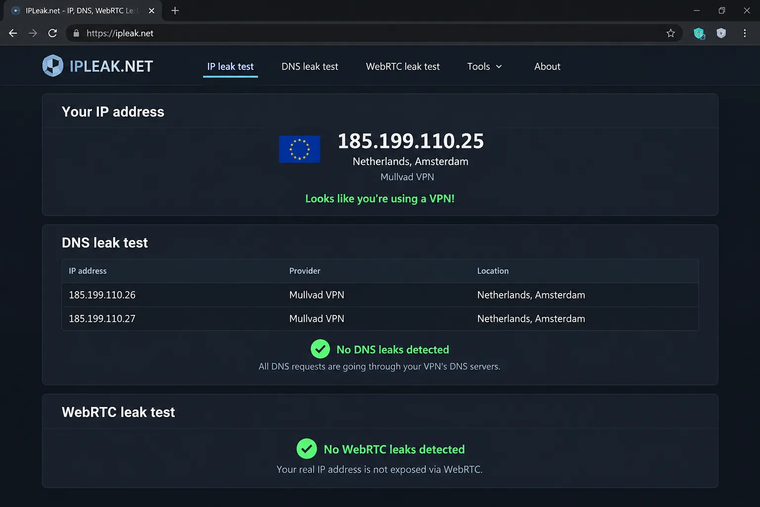 A DNS and WebRTC leak test page showing only the VPN server's IP address and DNS resolver, with no sign of the real ISP address, while connected to a European VPN server.