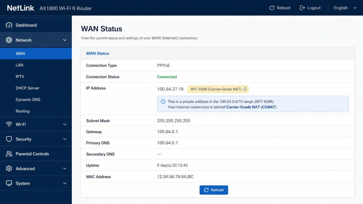 A router WAN status page showing a 100.64.x.x address in the RFC 6598 range, indicating the connection is behind Carrier-Grade NAT.