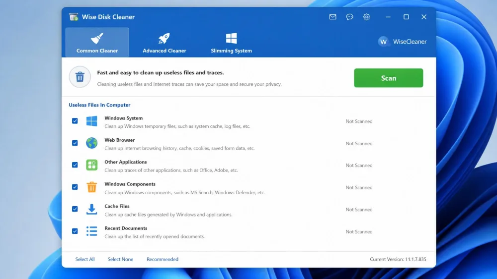 The Wise Disk Cleaner Common Cleaner tab on Windows 11, listing detected junk-file categories with a green Scan button.