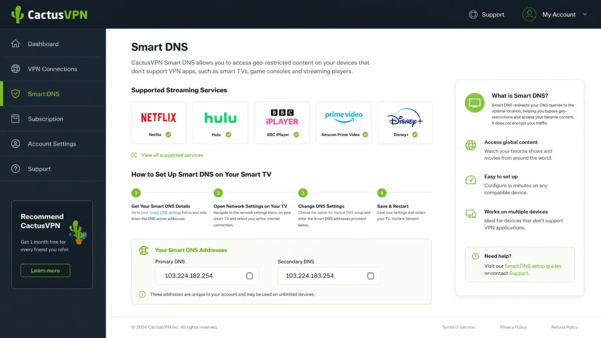 CactusVPN Smart DNS configuration page listing supported streaming services like Netflix, Hulu and BBC iPlayer with setup instructions for a smart TV.