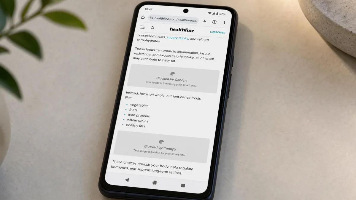 A web article open on an Android phone with Canopy's smart filter having replaced two photos with grey blocked-content placeholders while the surrounding text remains readable.