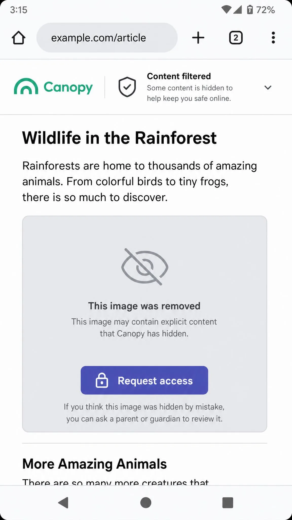A Canopy-filtered web page on a child's Android phone with an explicit image removed and replaced by a grey placeholder, with the request access button visible underneath.