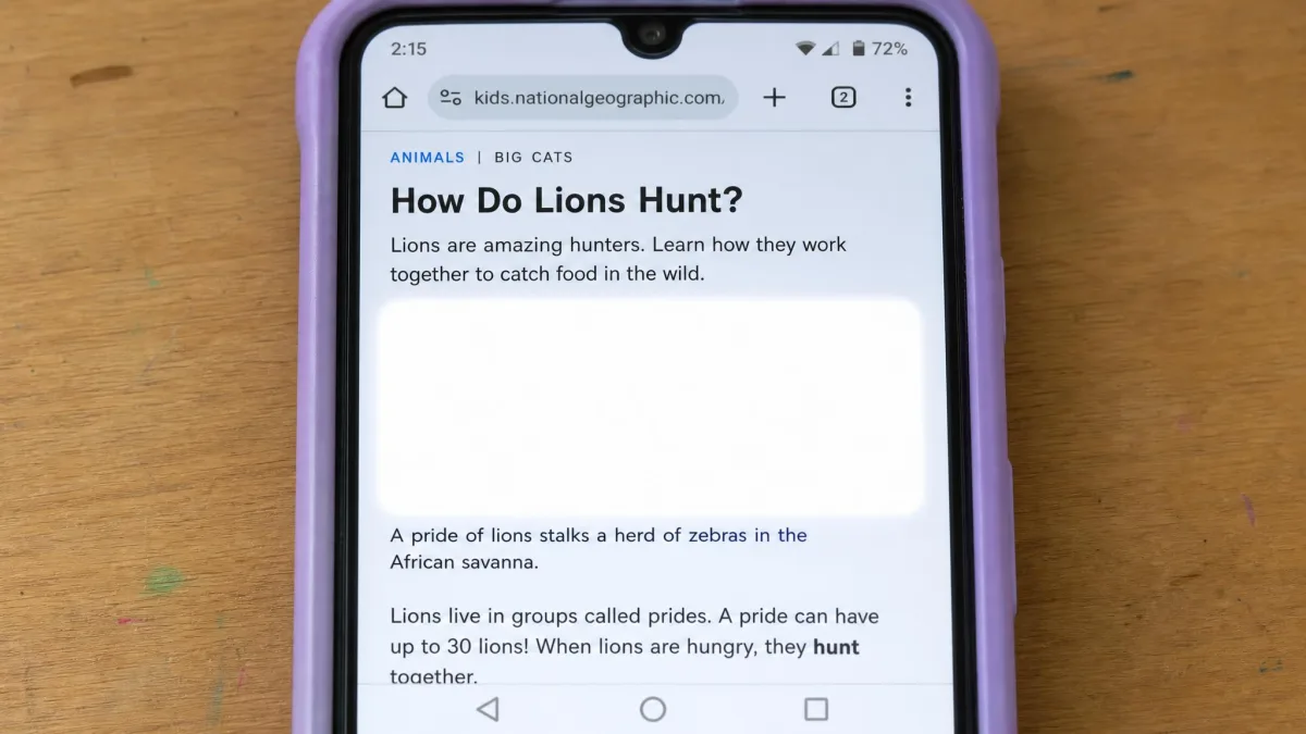 A child's Android phone in Chrome where Canopy has whited out one image while the surrounding text stays visible.