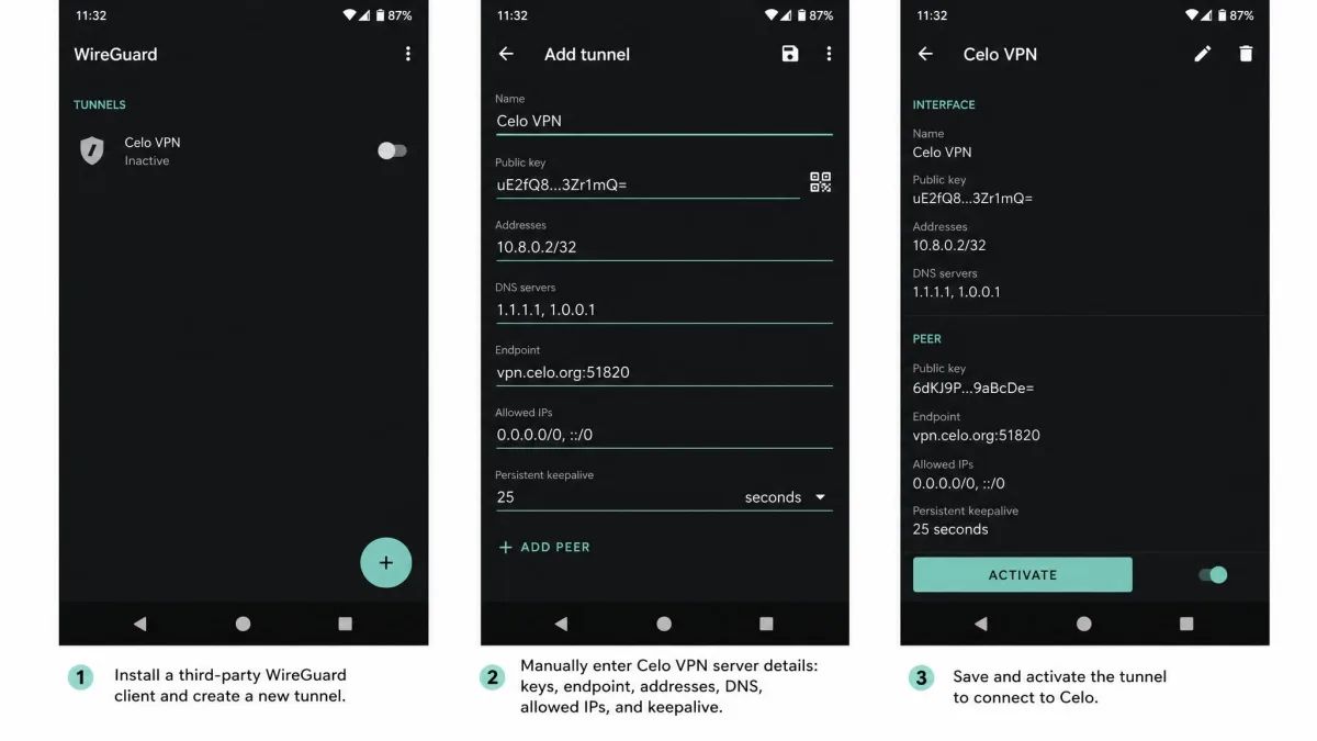 Android screen showing a third-party WireGuard client configured manually with Celo VPN server details, illustrating the extra steps mobile users face.