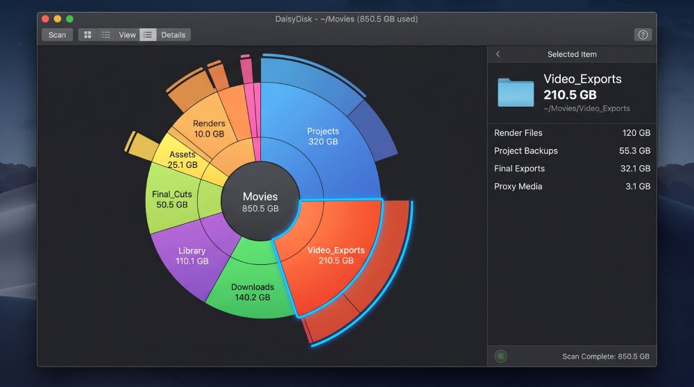 DaisyDisk sunburst map drilled into the Movies folder, with a single large video-export subfolder highlighted and its size shown in the right sidebar.