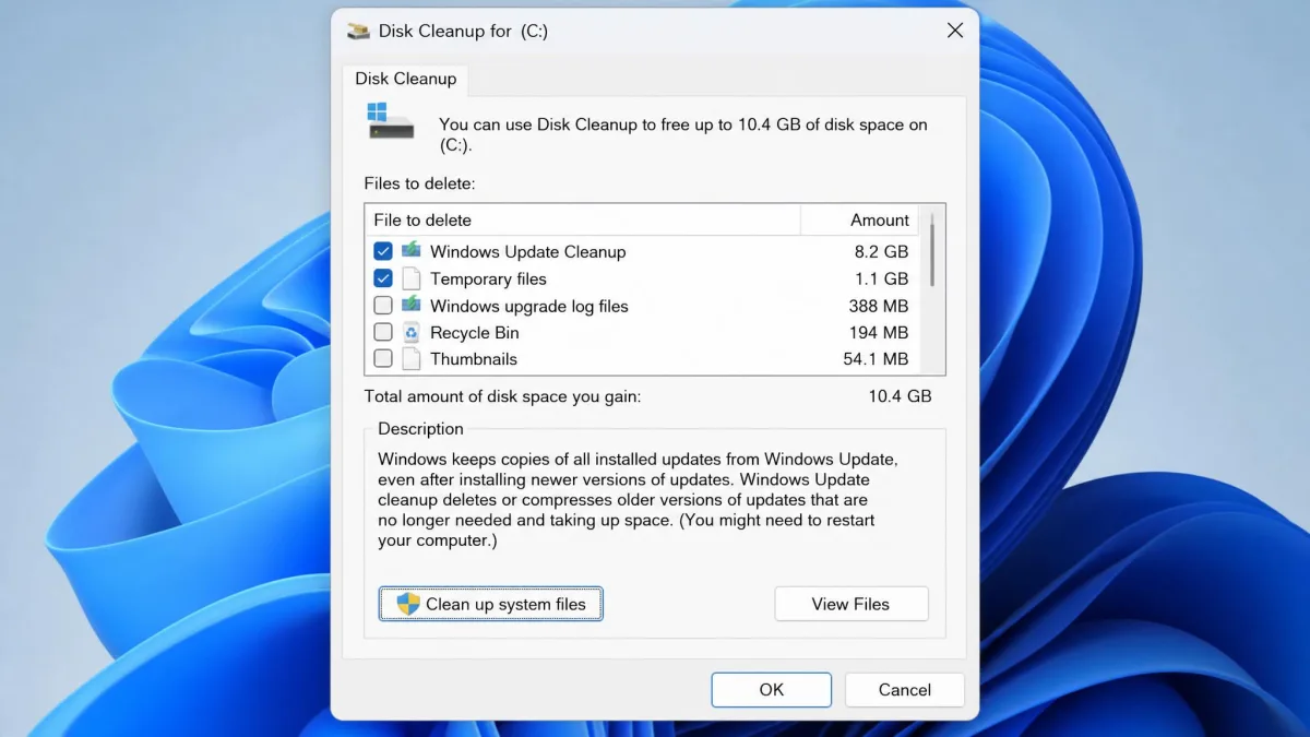 The Windows Disk Cleanup dialog for the C: drive with Clean up system files selected, showing Windows Update Cleanup at 8.2 GB and Temporary files ticked in the category list.