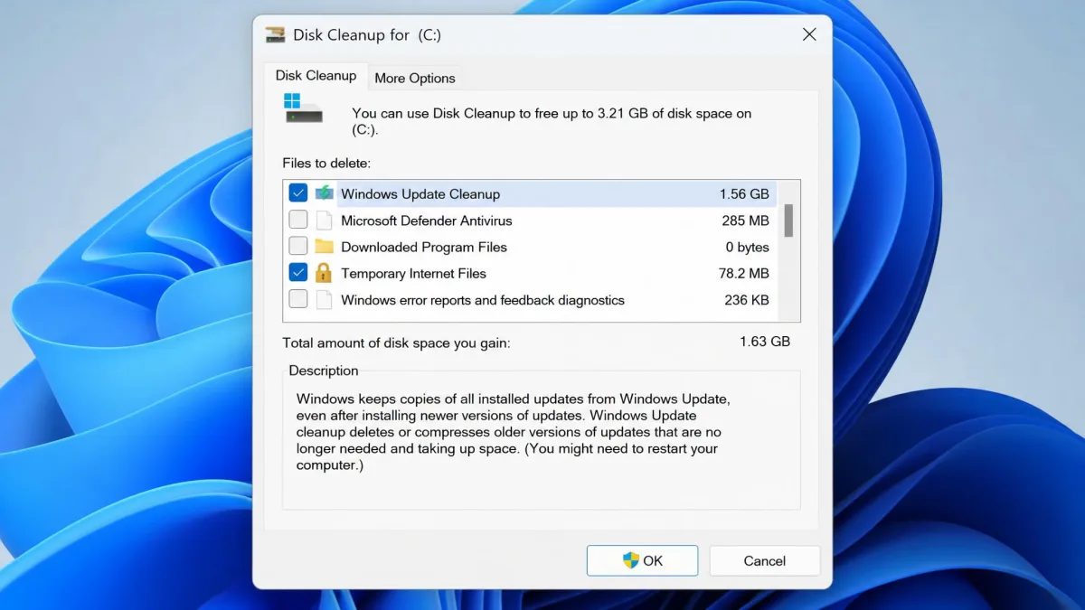Disk Cleanup for drive C in system files mode, with Windows Update Cleanup ticked and its size shown beside the category list.