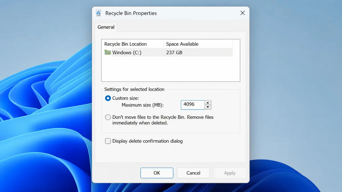 Recycle Bin Properties dialog on a Windows PC showing the Custom size field in megabytes and the Do not move files option.