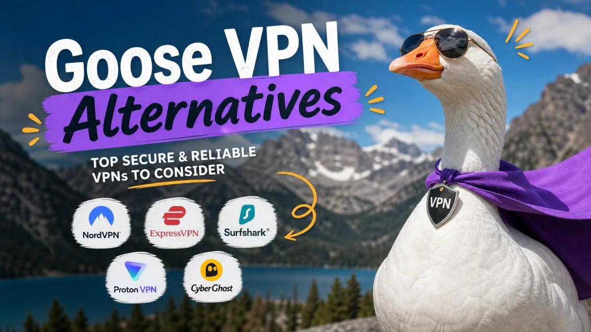 Goose VPN Alternatives