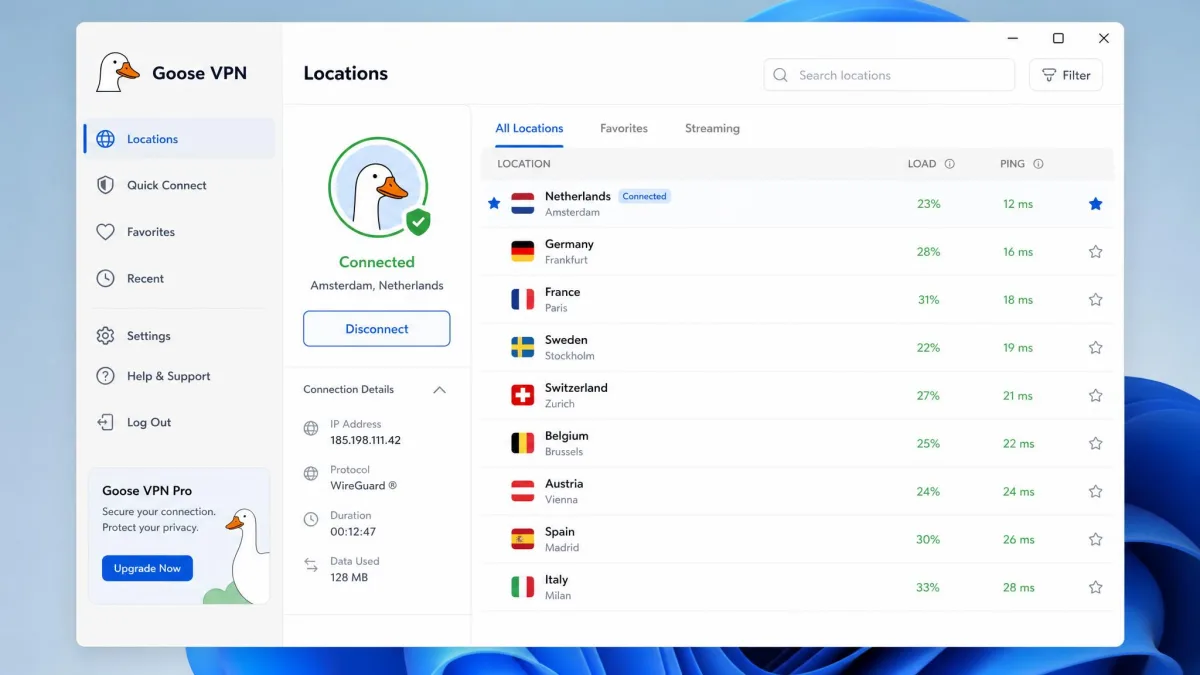 Goose VPN's desktop app showing its server list, with most available locations in European countries such as the Netherlands, Germany, France and Sweden.