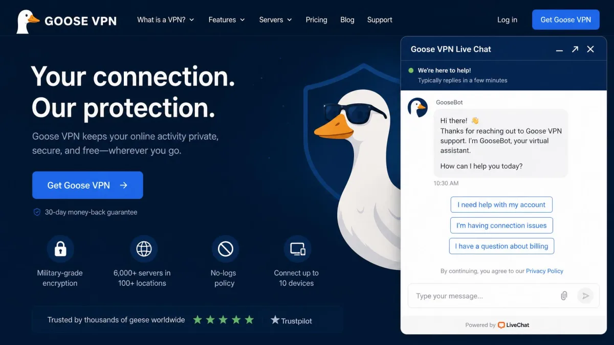 Goose VPN live chat support window showing the chatbot greeting before a human agent is reached, on the provider's website.