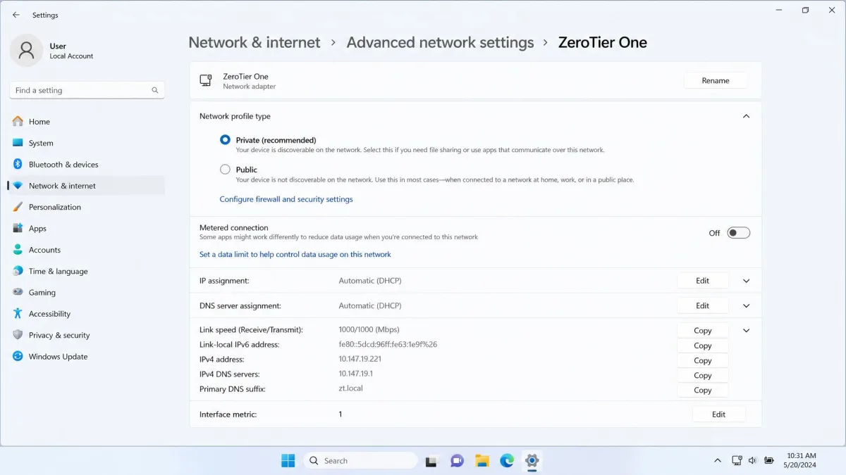Windows 11 network settings showing a ZeroTier One virtual adapter with its network profile set to Private and the interface metric set to 1.