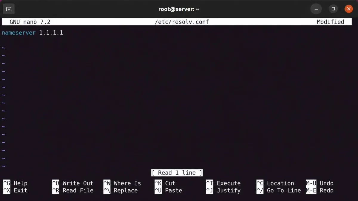 A Linux terminal window showing the /etc/resolv.conf file open in a text editor with a single trusted nameserver line and the ISP nameservers removed.
