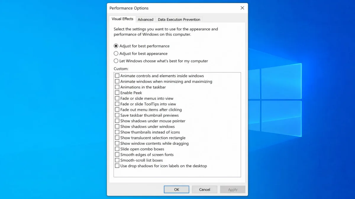 The Performance Options dialog in Windows with the Adjust for best performance radio button selected and the list of visual effects checkboxes cleared.