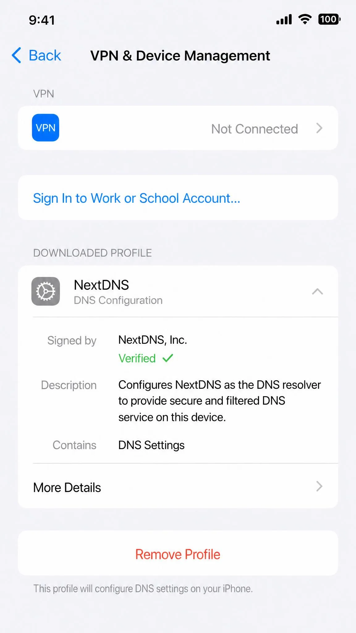 The iPhone VPN & Device Management screen listing an installed DNS configuration profile from a filtering service, with the profile details expanded.
