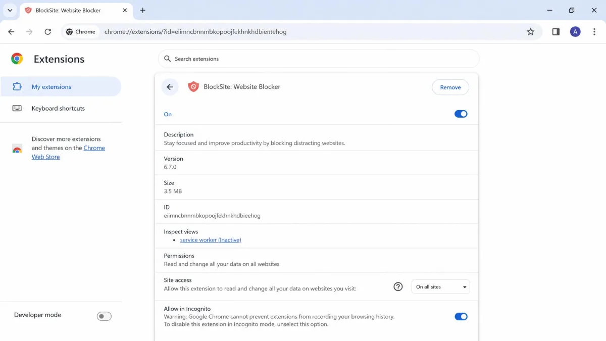 Chrome's extension details page showing the Allow in Incognito toggle switched on for a website blocker extension.