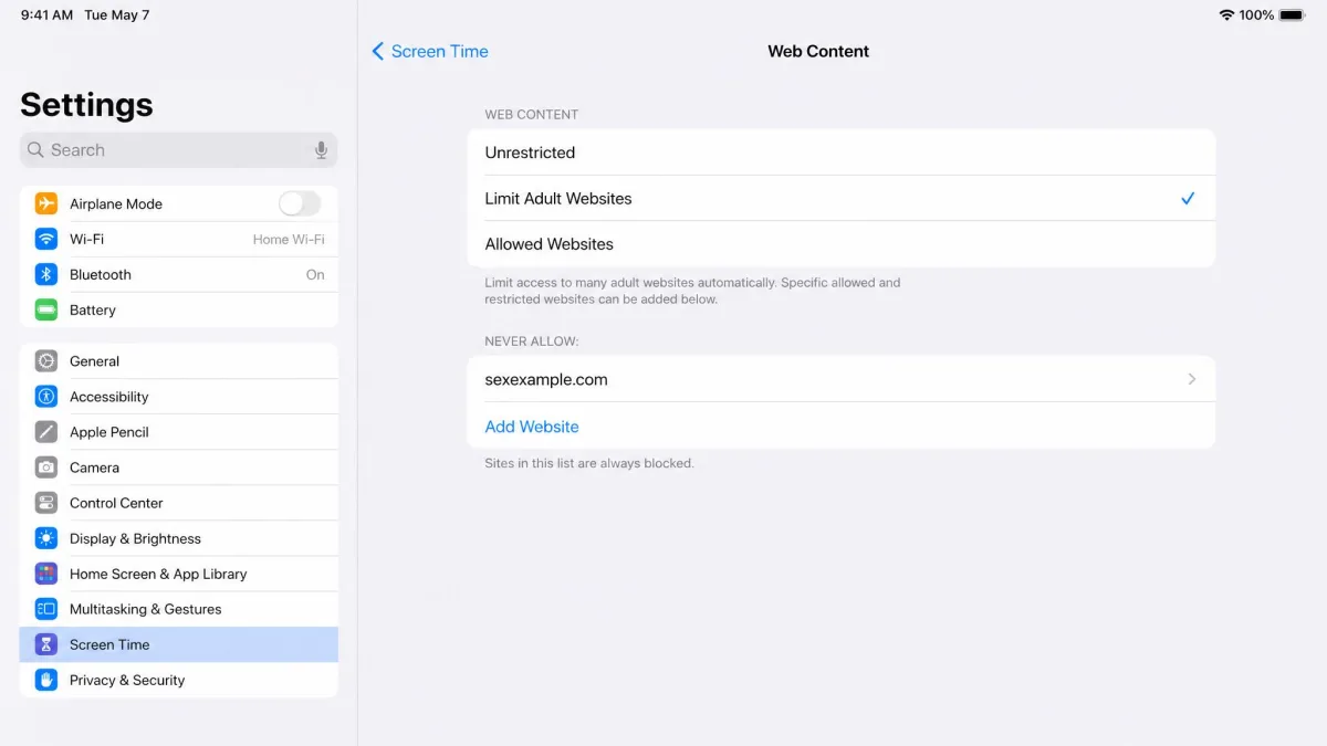 iPad Settings open to Screen Time, Web Content, with Limit Adult Websites selected and a Never Allow list showing one blocked address underneath.