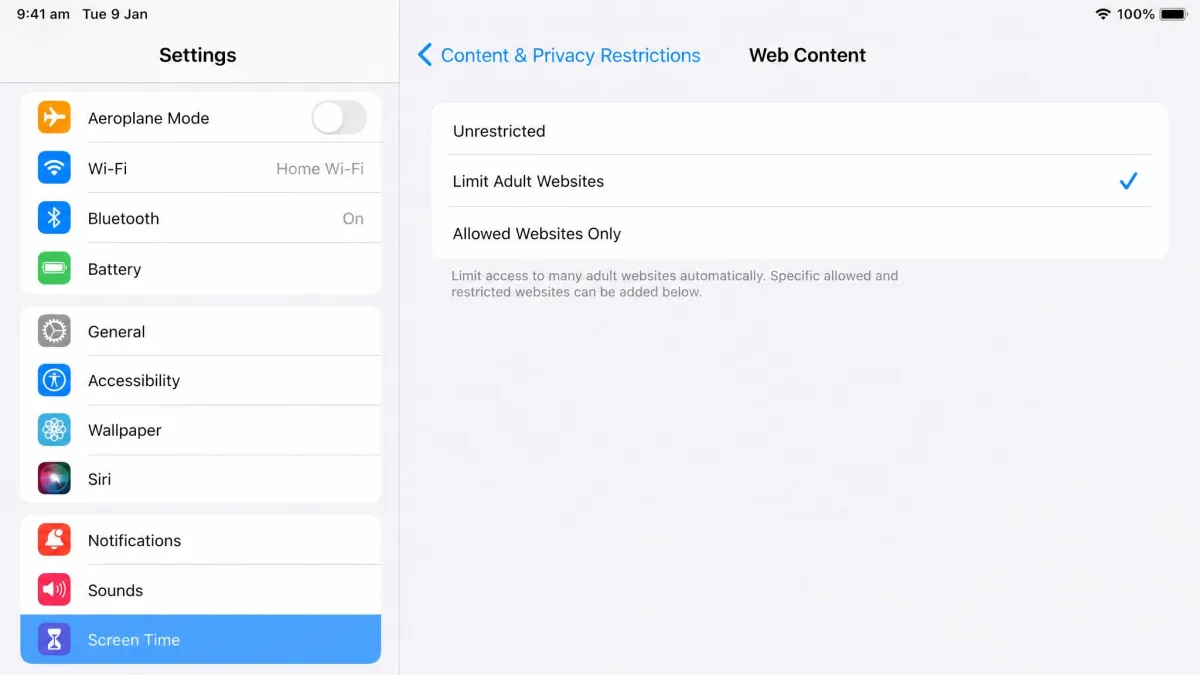 The iPad Web Content settings screen showing the three modes Unrestricted, Limit Adult Websites and Allowed Websites Only with the middle option ticked.