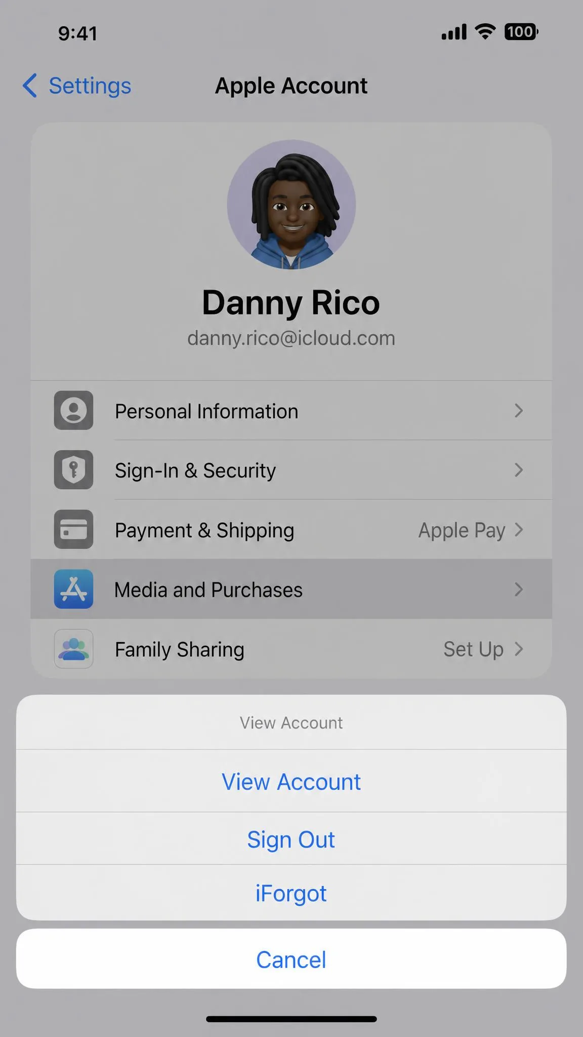 iPhone Settings screen showing the Apple Account panel with the Media and Purchases row selected and a View Account action sheet sliding up from the bottom.