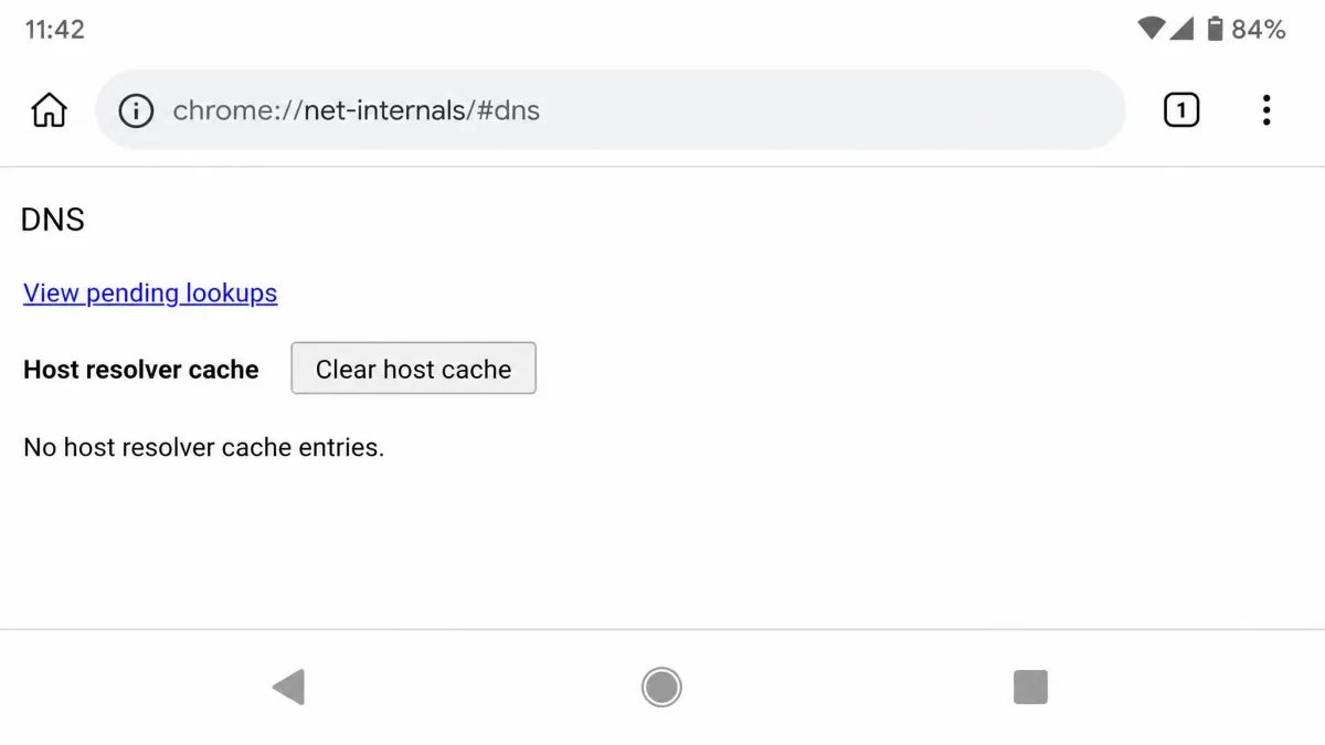 The chrome://net-internals/#dns page open in Chrome on an Android phone, showing the host resolver cache section with a Clear host cache button and no list of visited domains.