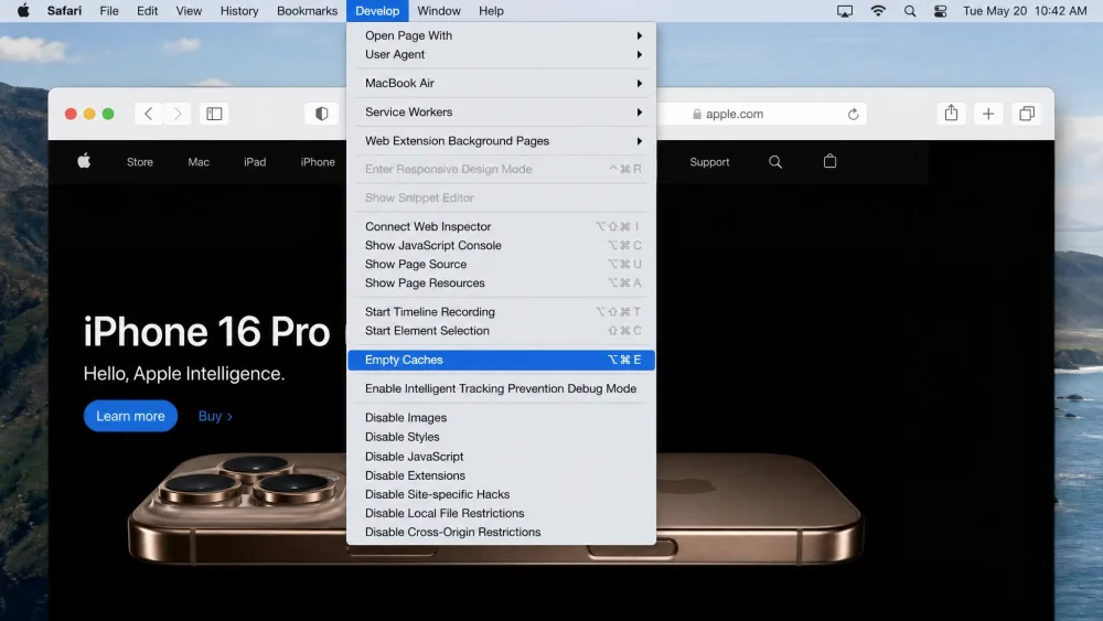 Safari's Develop menu open in the Mac menu bar with the Empty Caches option highlighted, showing the cache-only clearing route.