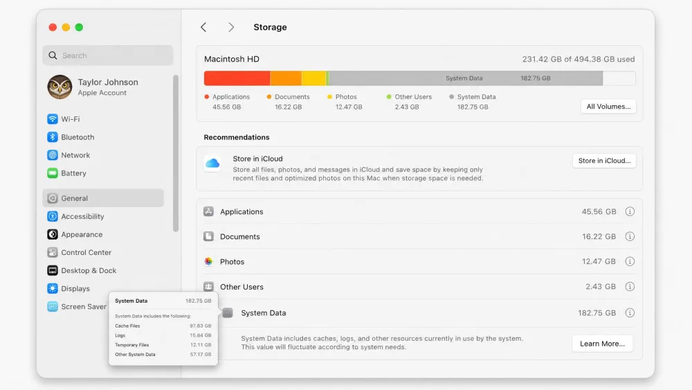 A MacBook storage settings screen showing the About This Mac storage bar with a large System Data segment that includes cache files.