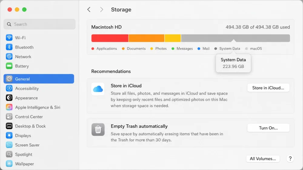 The macOS System Settings Storage pane showing the colored capacity bar with the gray System Data segment highlighted and a tooltip displaying its size in gigabytes.