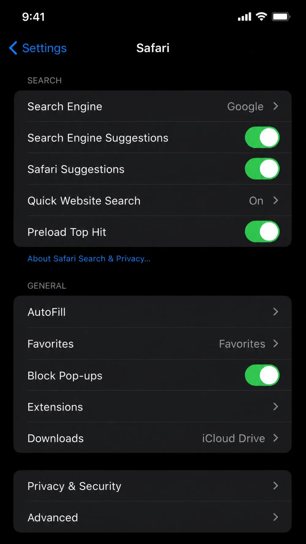 The Safari settings screen on iPhone showing Privacy and Security above the Advanced row.