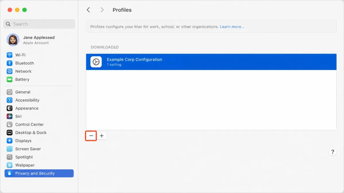 macOS Privacy and Security Profiles pane showing one installed configuration profile selected, with the minus remove button highlighted below the list.