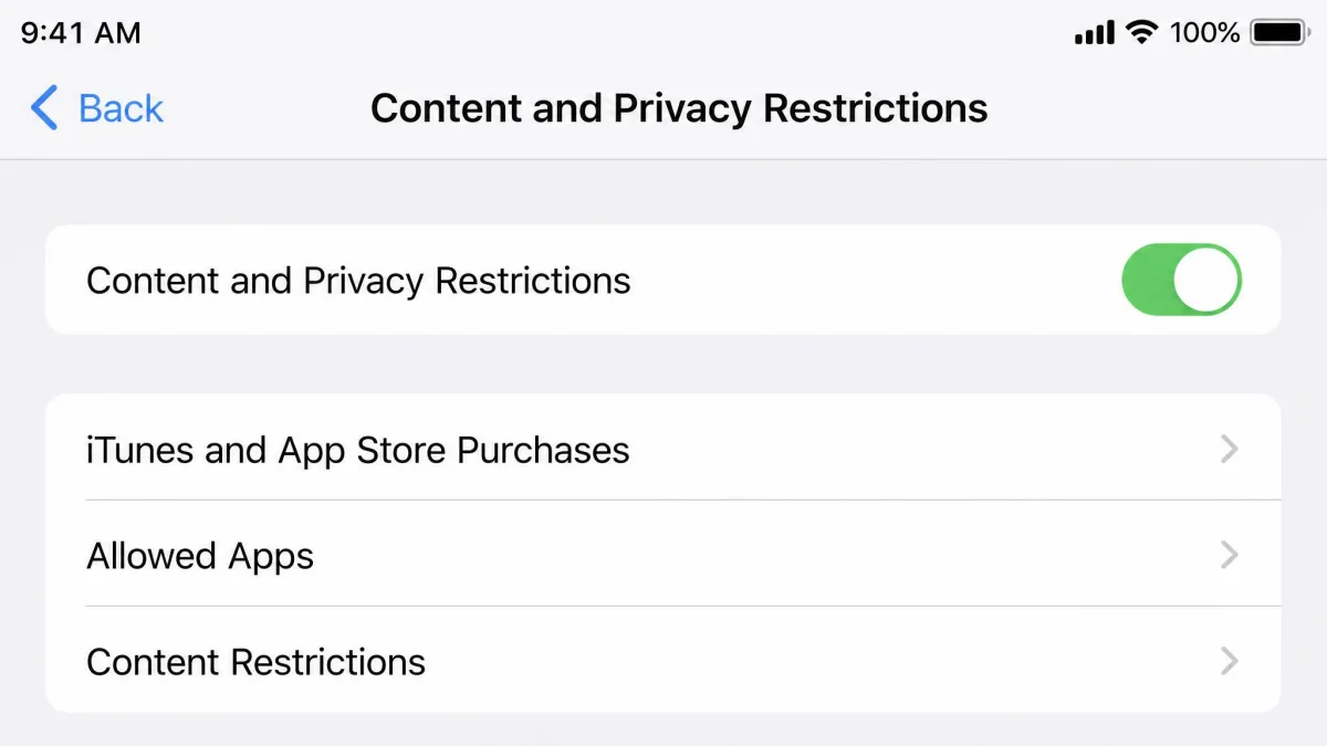The iOS Content and Privacy Restrictions settings screen with iTunes and App Store Purchases, Allowed Apps and Content Restrictions rows visible.