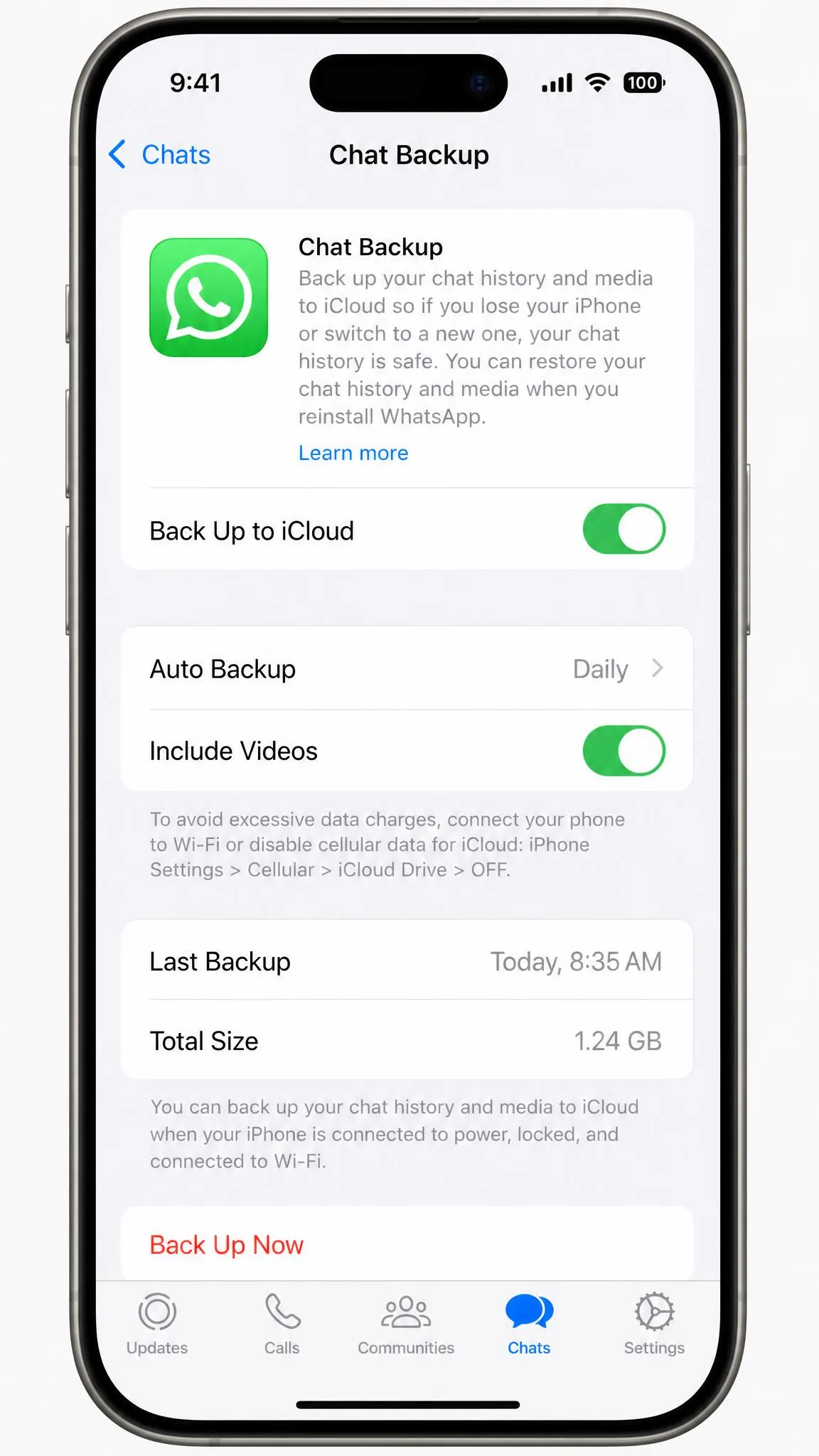 An iPhone showing WhatsApp's Chat Backup screen with iCloud backup set to daily and the last backup size and timestamp listed.