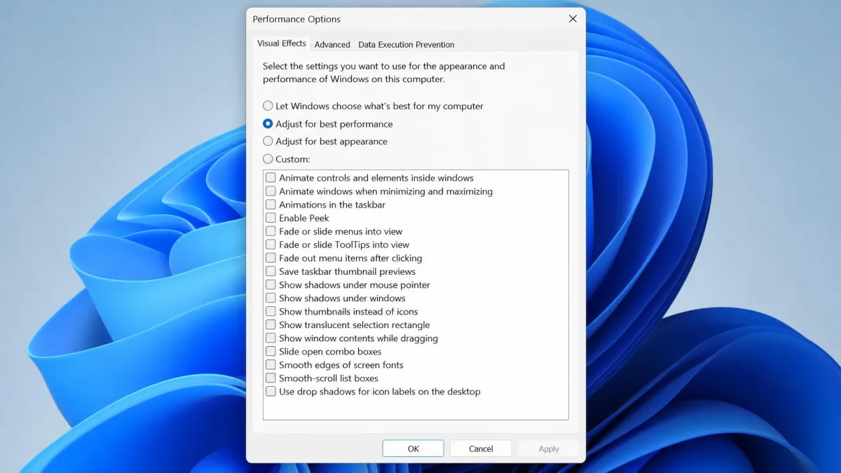 The Performance Options dialog in Windows with the Adjust for best performance radio button selected and the animation checkboxes cleared.