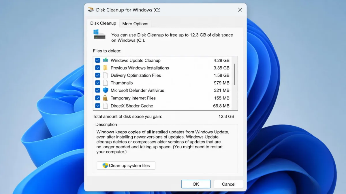The elevated Disk Cleanup list on Windows 11 showing Windows Update Cleanup at several gigabytes, Previous Windows installations, Delivery Optimization Files and Thumbnails, with the More Options tab visible at the top.