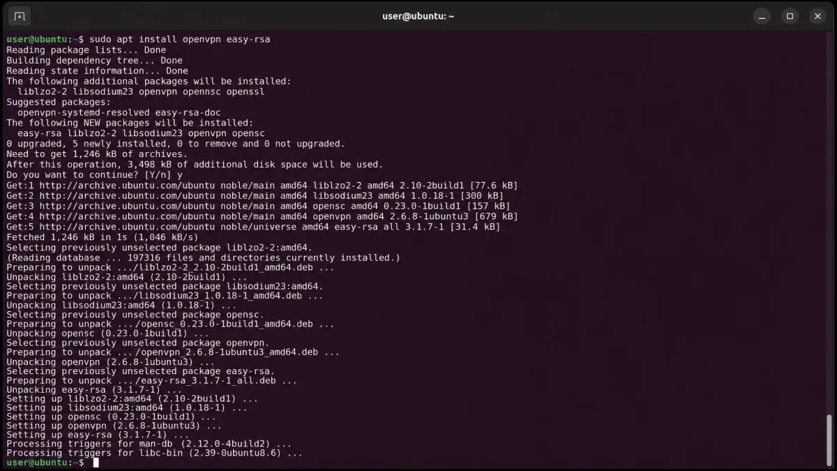 A Linux terminal showing the sudo apt install openvpn easy-rsa command completing, with the package manager listing the installed OpenVPN and EasyRSA packages.