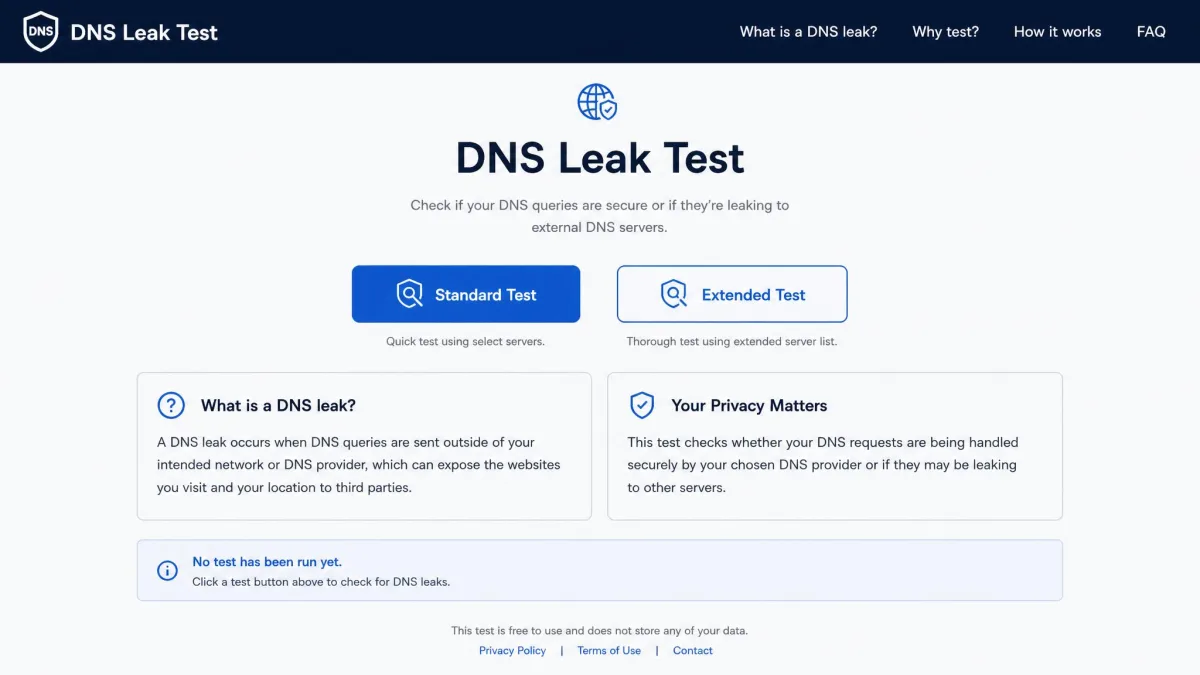 A free browser-based DNS leak test homepage with a standard test button and an extended test button, shown before any test has been run.