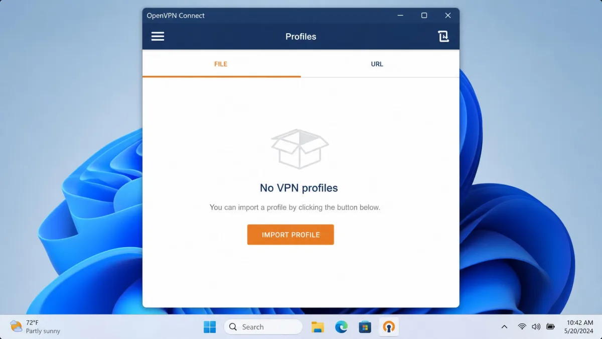 OpenVPN Connect running on Windows 11 with an empty profile list, showing the Import Profile button and the File and URL tabs.