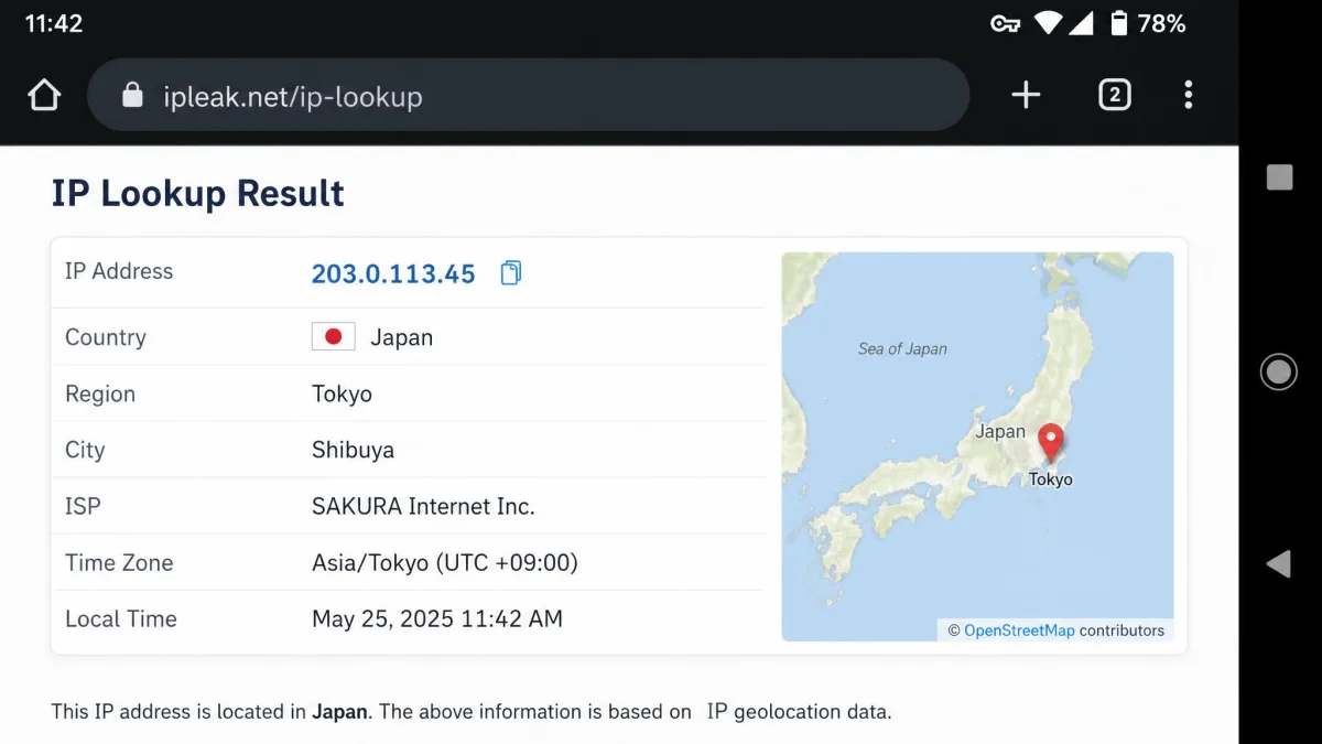 An Android browser showing an IP lookup result in another country, with the VPN key icon in the status bar.