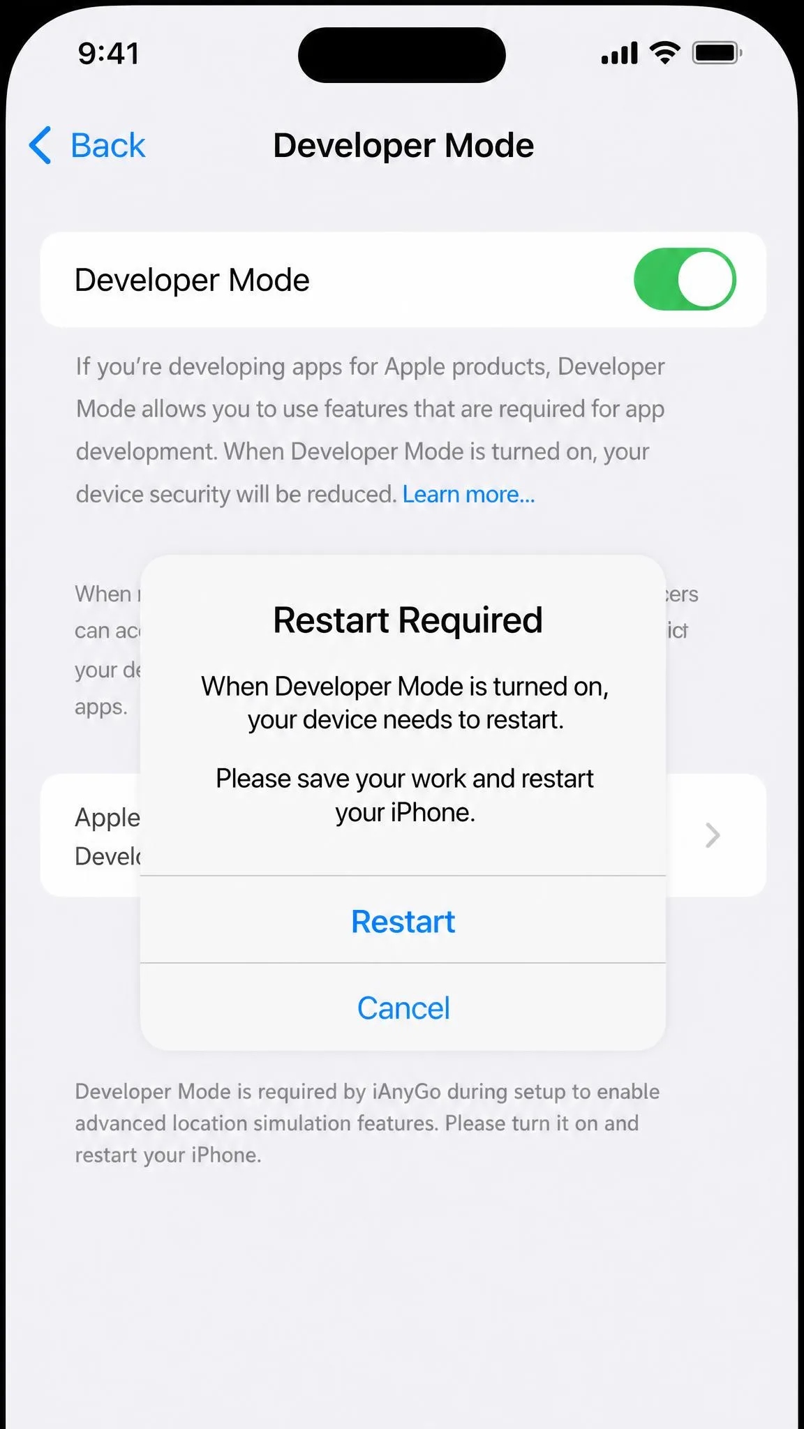 iPhone settings screen showing the Developer Mode toggle iAnyGo requires during setup, with the restart prompt.