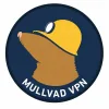 Mullvad VPN logo