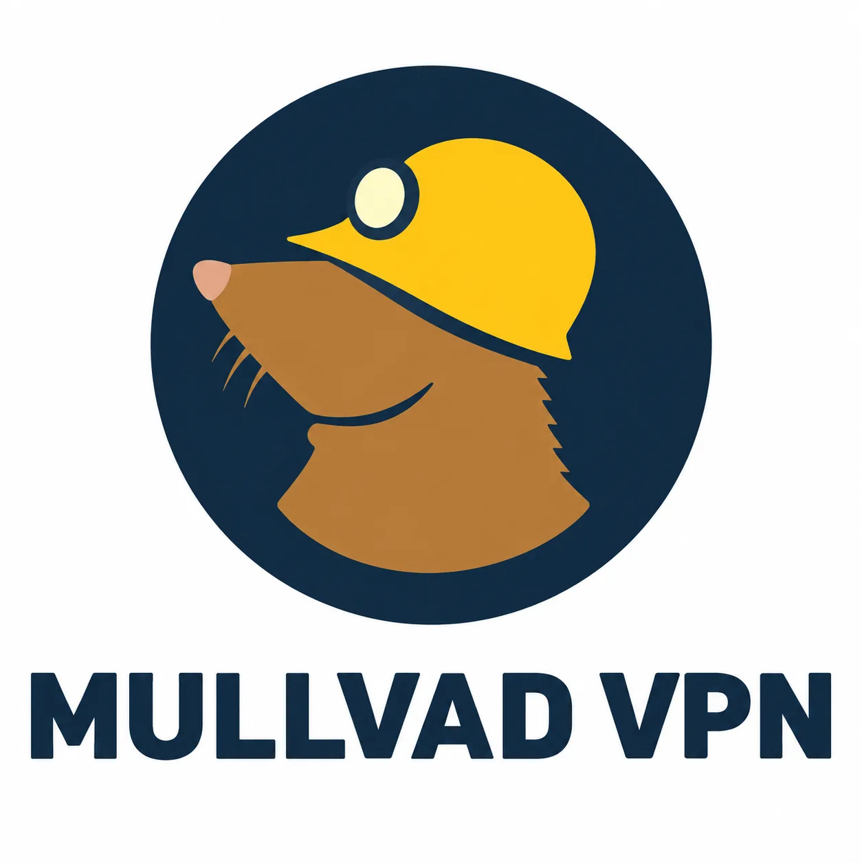 Mullvad VPN logo