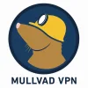 Mullvad VPN logo
