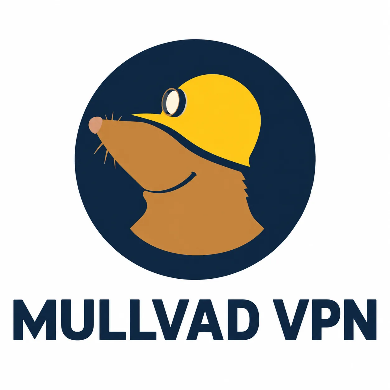 Mullvad VPN logo