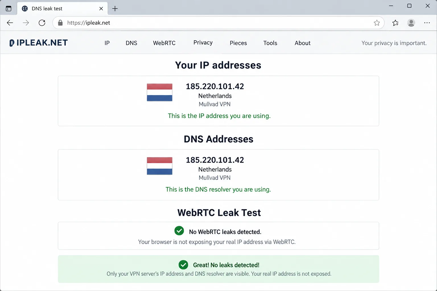 A DNS and WebRTC leak test results page in a Windows browser showing only the VPN server's IP address and resolver, with no local ISP addresses exposed.