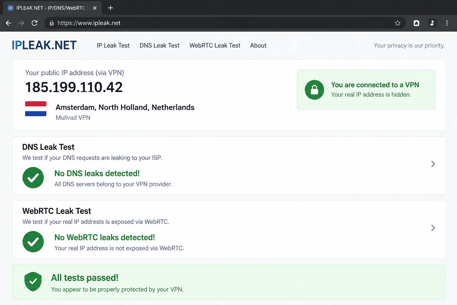 A browser leak-test page showing a passed DNS leak check and a passed WebRTC check while connected to a VPN server, with the VPN's public IP and location displayed at the top.