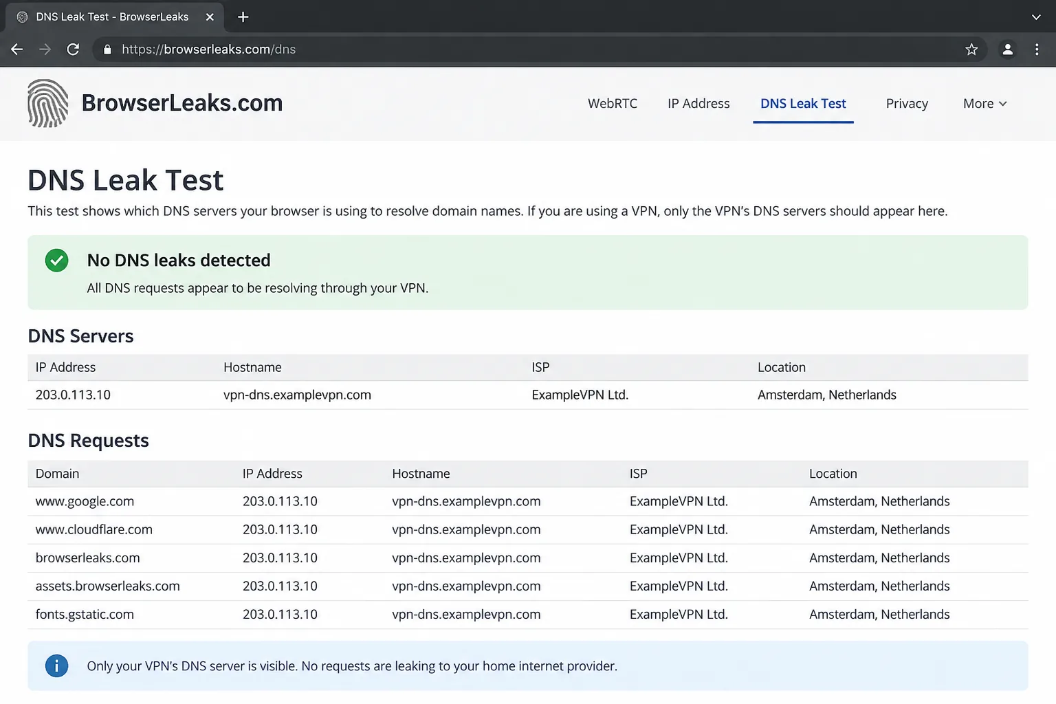 A browser DNS leak test page showing only the VPN server's IP address and DNS resolver, with no requests leaking to the home internet provider.