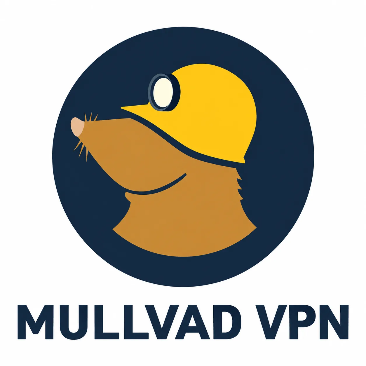 Mullvad VPN logo